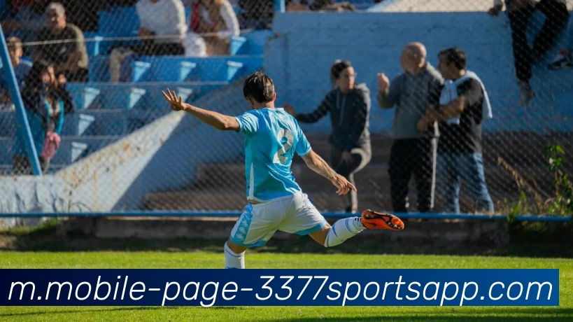 3377体育APP 封面图